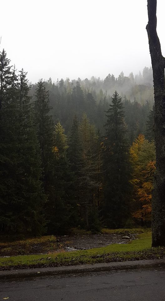 Photo of Zakopane, Poland by Kelly & Anthony