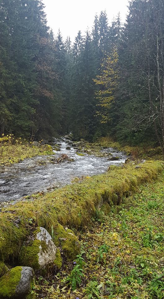 Photo of Zakopane, Poland by Kelly & Anthony
