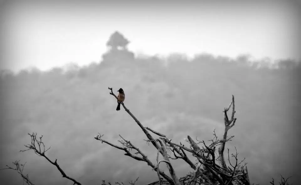 Photo of Bhangarh by Sayan Debnath