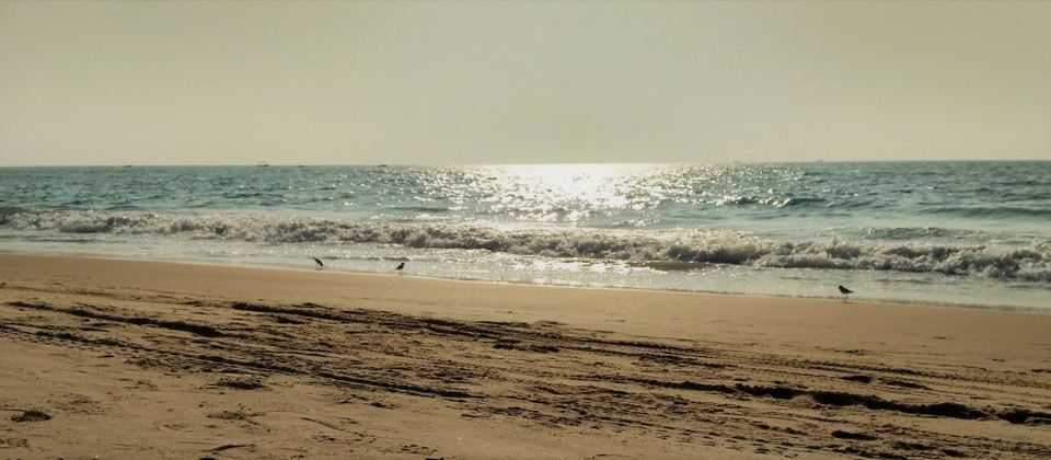 Photo of Log off now and plan for your dream destination - Why should you travel? 1/1 by Dipayan Ghatak