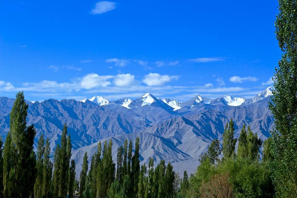 Photo of The Blunt Truth..Ladakh! by Prateek S.