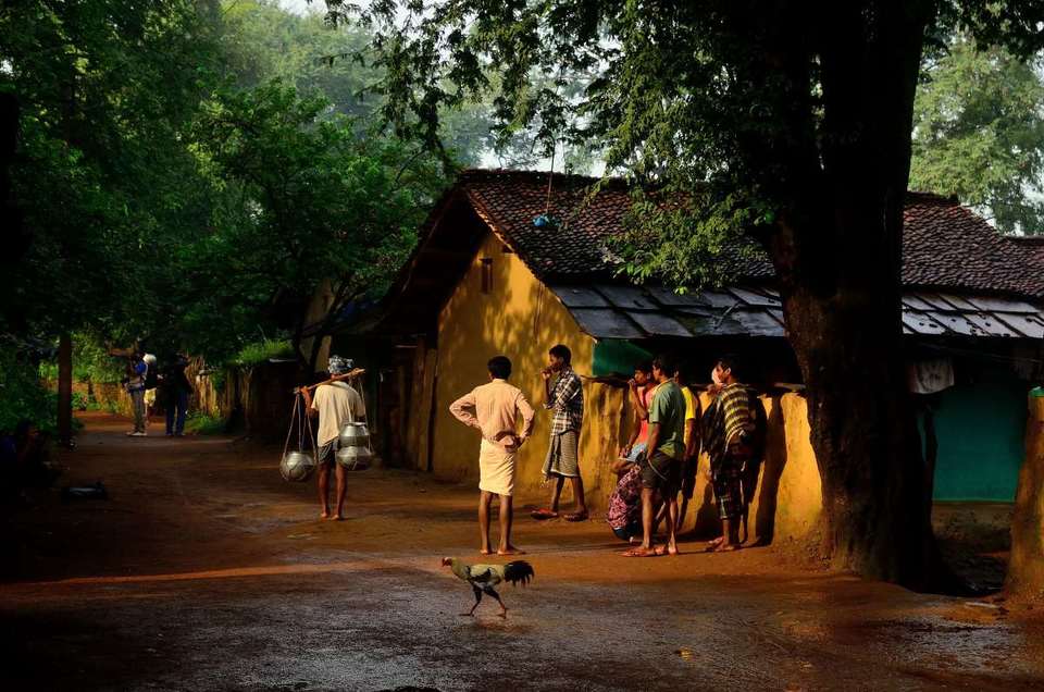 Photo of Colours Of Bastar 14/26 by Sajad Rafeeq