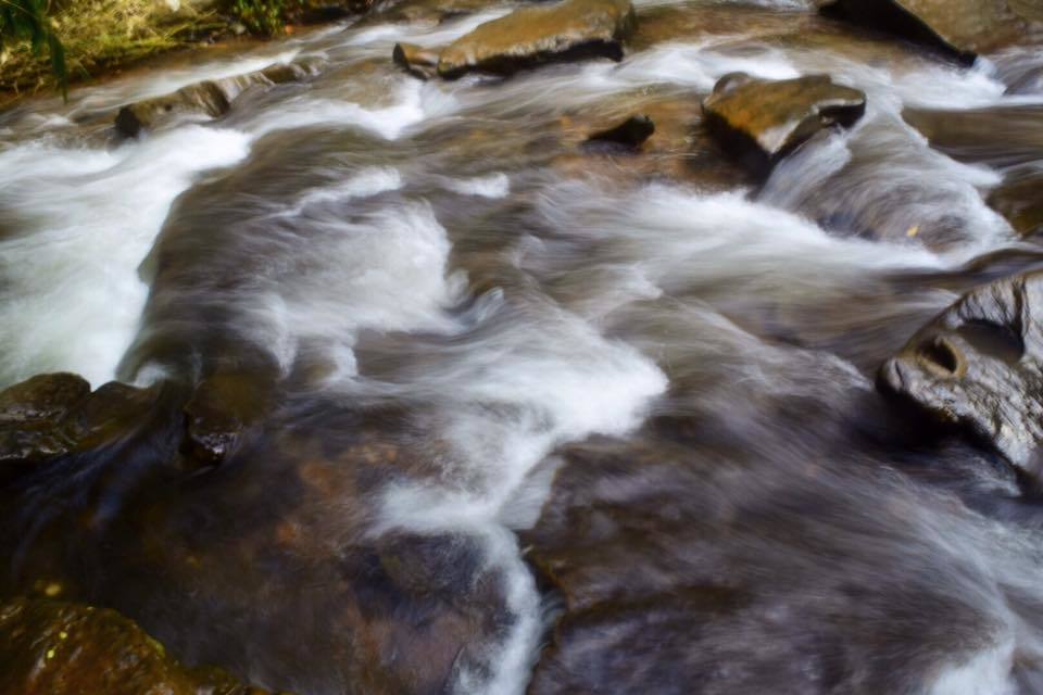 Photo of Majestic sirimane water falls. 6/11 by Manju Nath