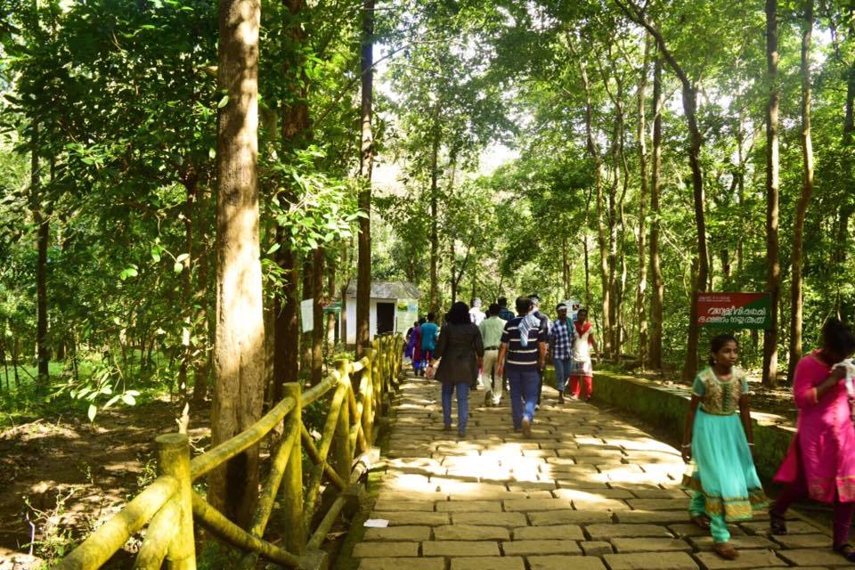 Photo of Trip to Athirapally falls. 3/23 by Manju Nath