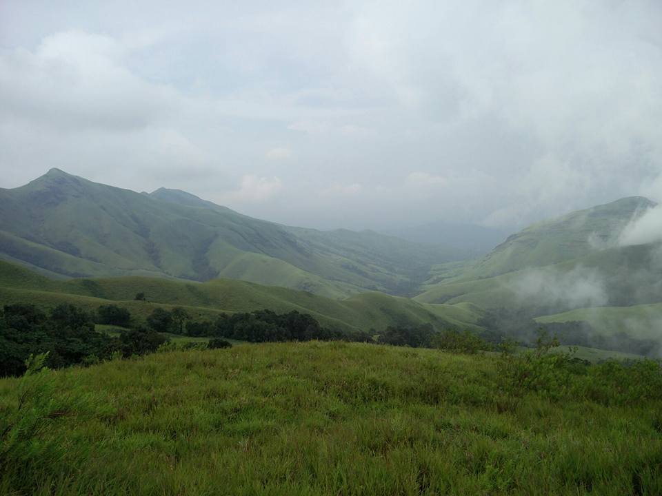 Photo of Trek to KudreMukh Peak 63/69 by Manju Nath