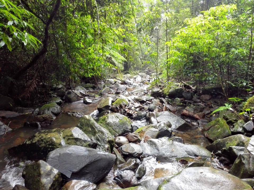 Photo of Visit to hanumana gundi and Kadambi waterfalls 14/26 by Manju Nath