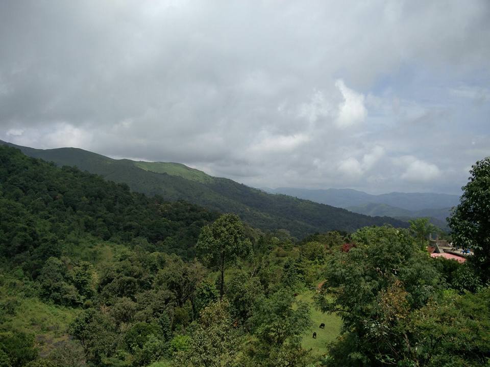 Photo of Trek to KudreMukh Peak 67/69 by Manju Nath