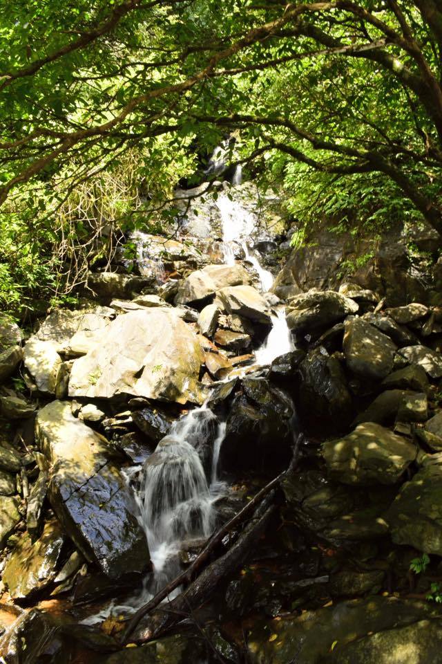 Photo of Visit to hanumana gundi and Kadambi waterfalls 21/26 by Manju Nath