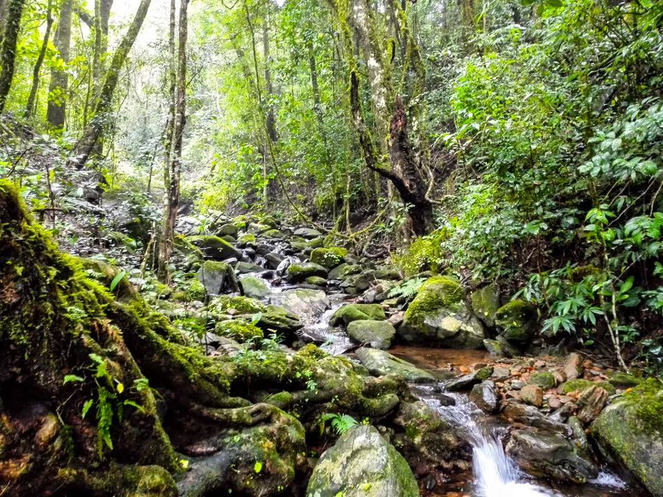 Photo of Visit to hanumana gundi and Kadambi waterfalls 9/26 by Manju Nath