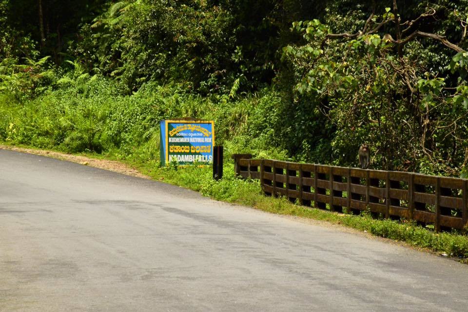 Photo of Visit to hanumana gundi and Kadambi waterfalls 23/26 by Manju Nath