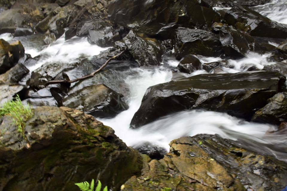 Photo of Visit to hanumana gundi and Kadambi waterfalls 17/26 by Manju Nath
