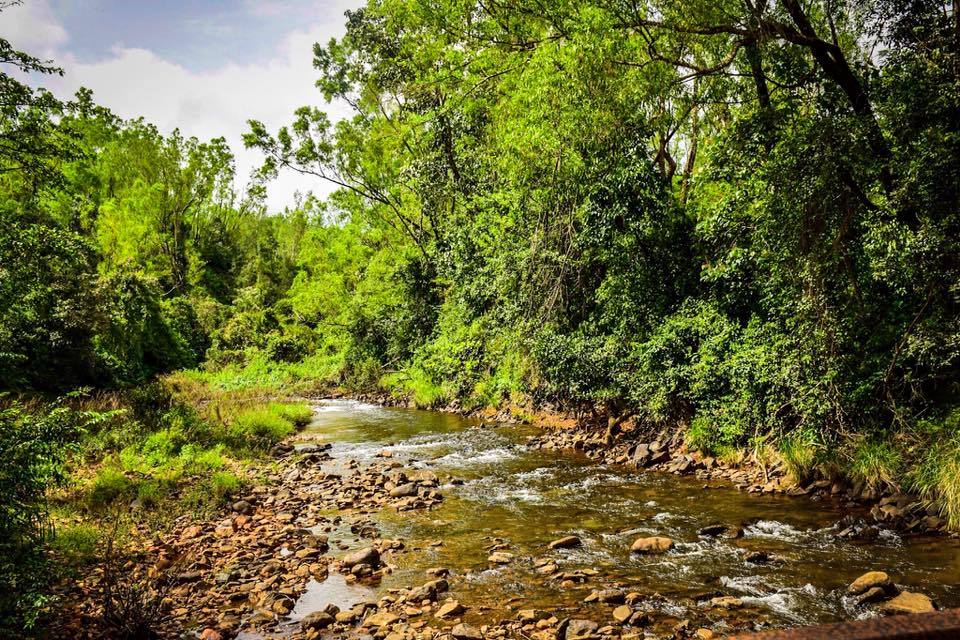 Photo of Visit to hanumana gundi and Kadambi waterfalls 12/26 by Manju Nath