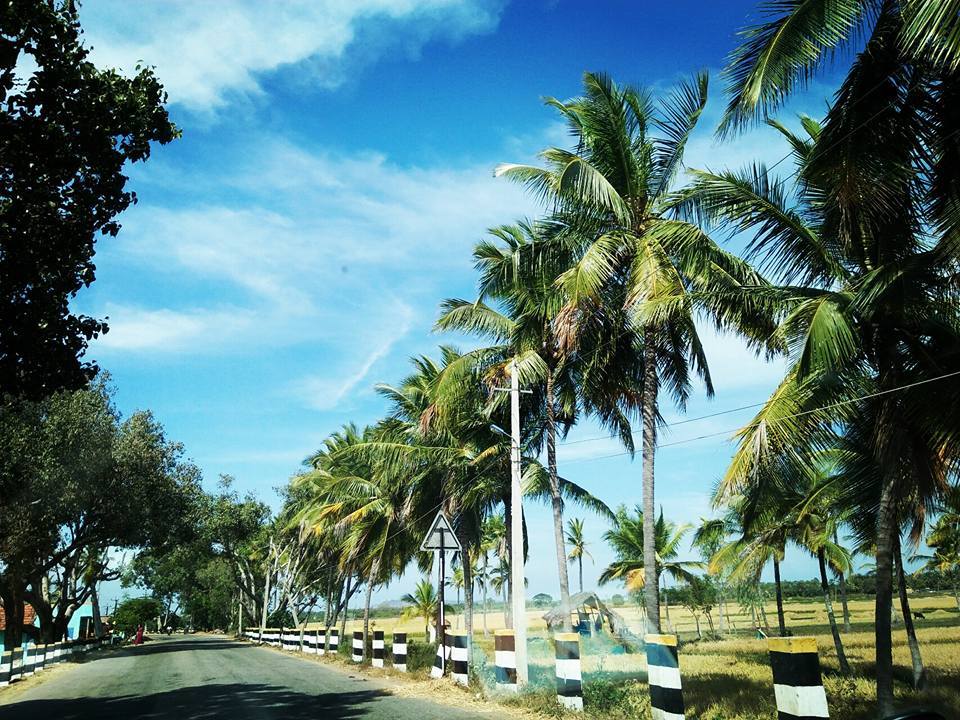 Photo of Talakadu, Karnataka, India by Ankan Mukherjee