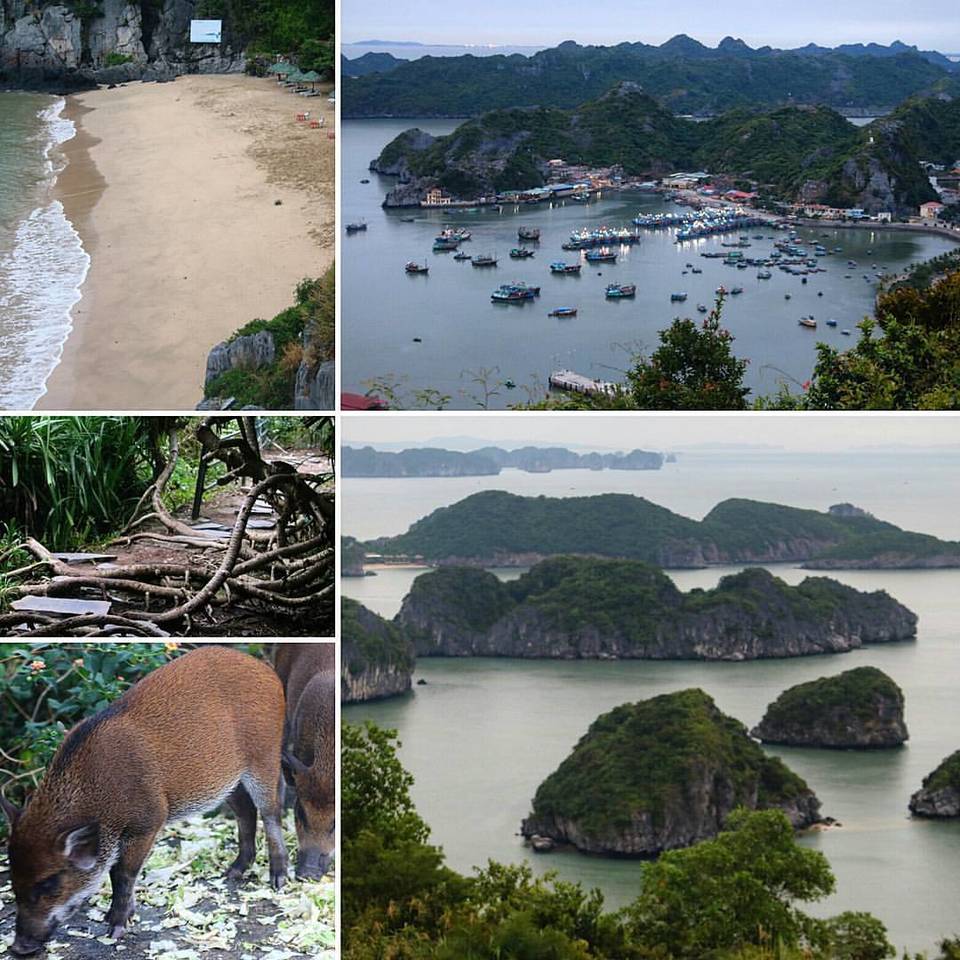 Photo of Cát Bà Island, Trân Châu, Haiphong, Vietnam by Thomas Glimfelt
