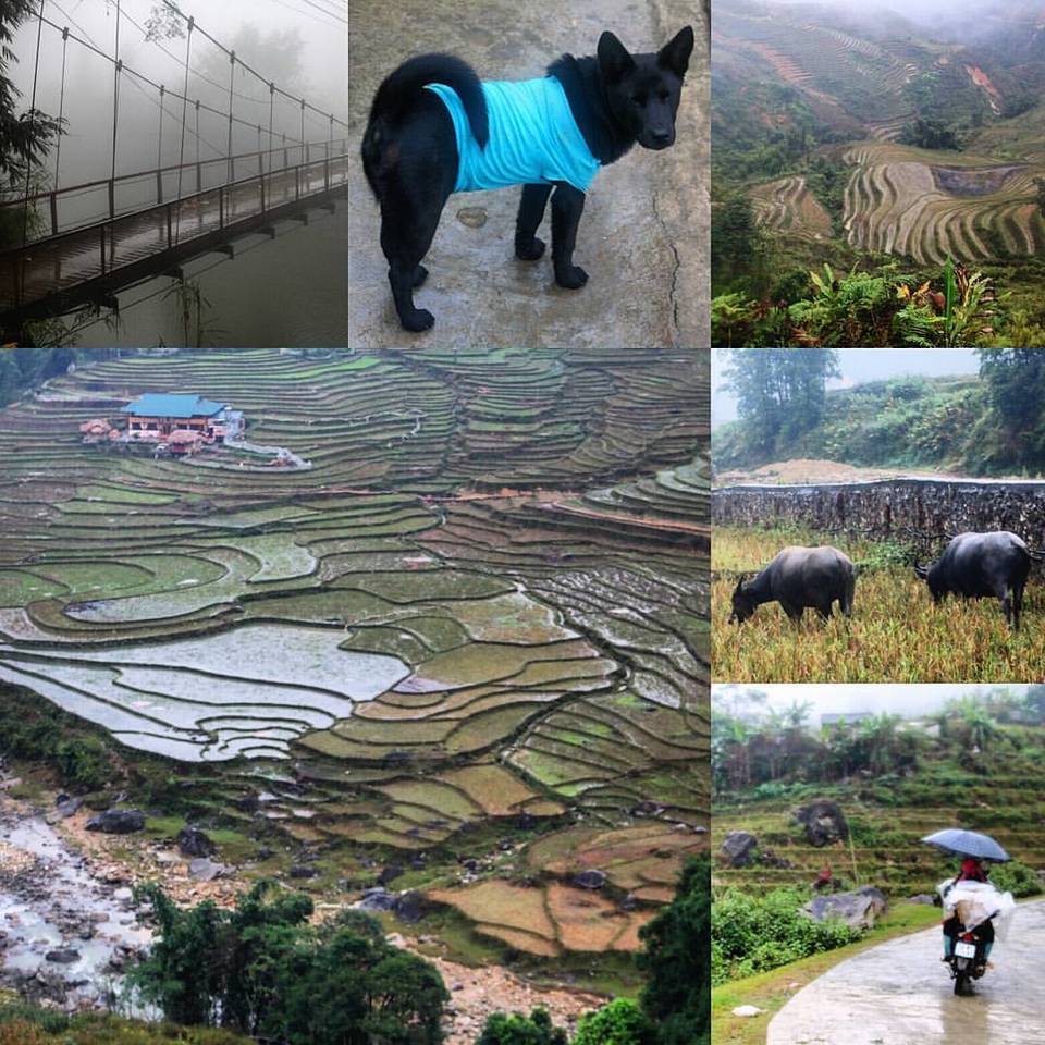 Photo of Sa Pa, Lao Cai, Vietnam by Thomas Glimfelt