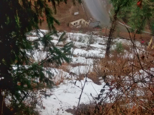 Photo of On the beaten path - Shimla by chandanirajat1