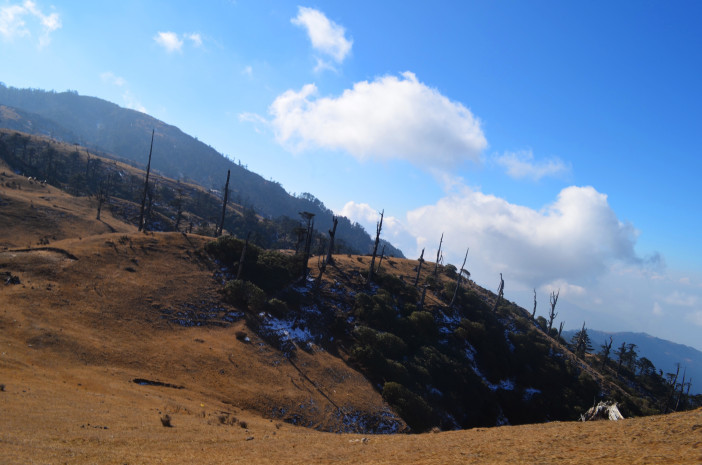 Photo of Sandakphu-Phalut Winter Trek 14/26 by Chandro Samadder