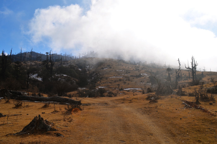 Photo of Sandakphu-Phalut Winter Trek 15/26 by Chandro Samadder