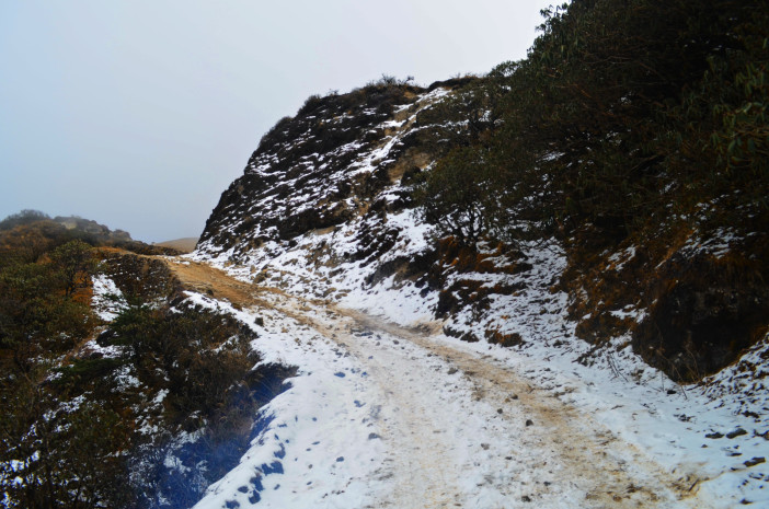 Photo of Sandakphu-Phalut Winter Trek 21/26 by Chandro Samadder
