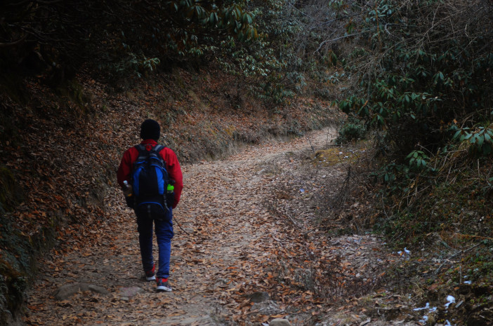 Photo of Sandakphu-Phalut Winter Trek 26/26 by Chandro Samadder