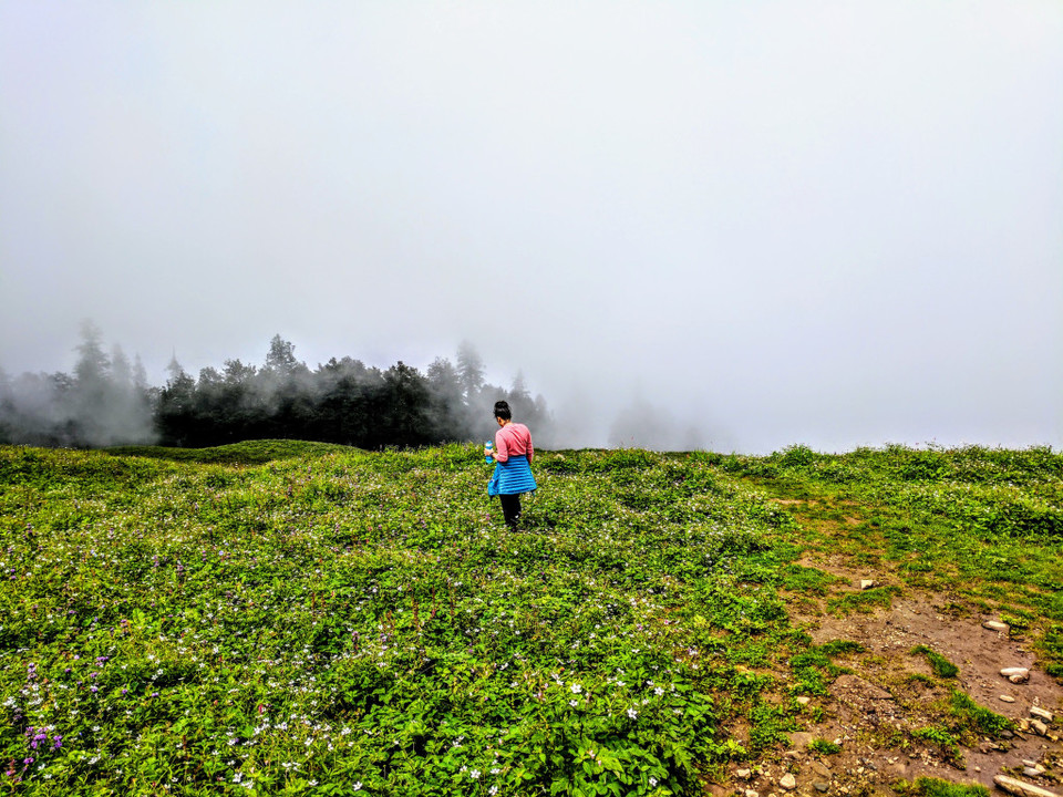 Photo of How to Plan a Trek to Bhrigu Lake without a Guide! 12/13 by Sonali Verma | Unfoldingwaves