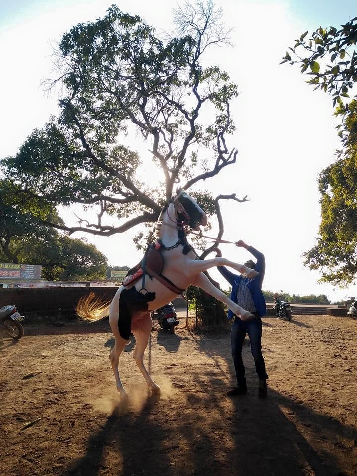 Photo of Mahabaleshwar, Maharashtra, India by Sravan Yadav