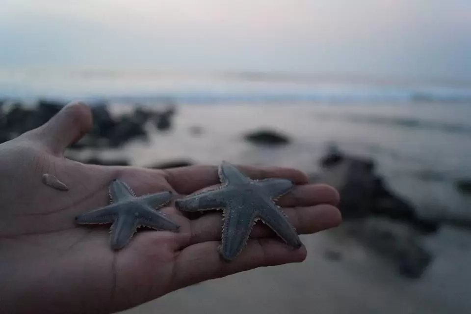Photo of Murudeshwar, Karnataka, India by Sravan Yadav