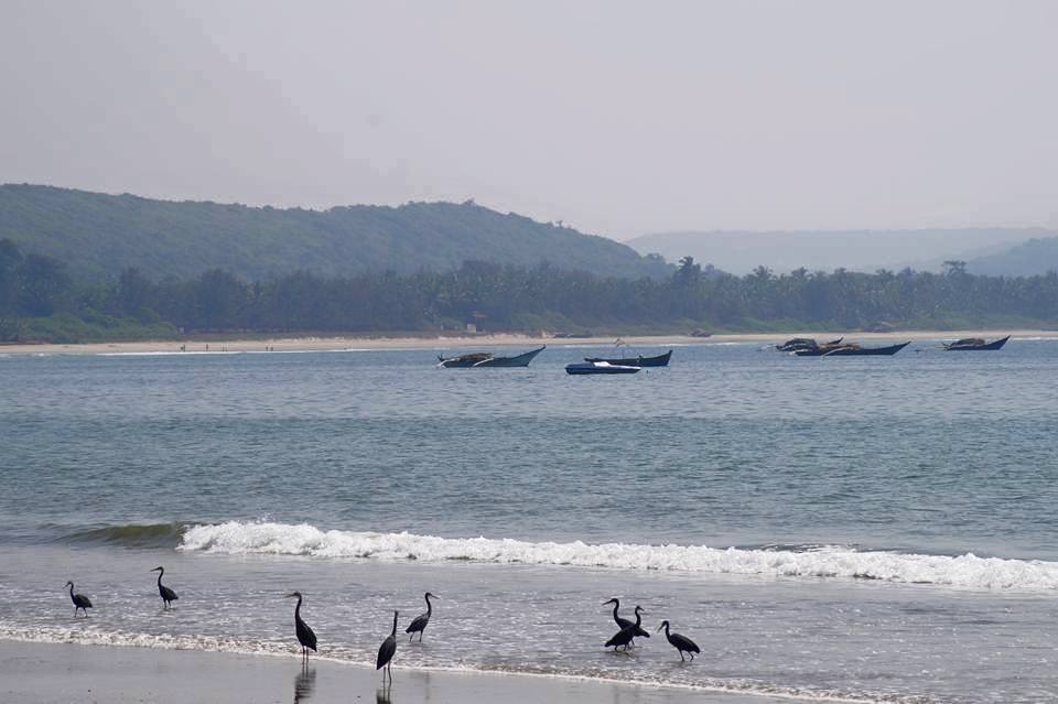 Photo of Tarkarli, Maharashtra, India by Sravan Yadav