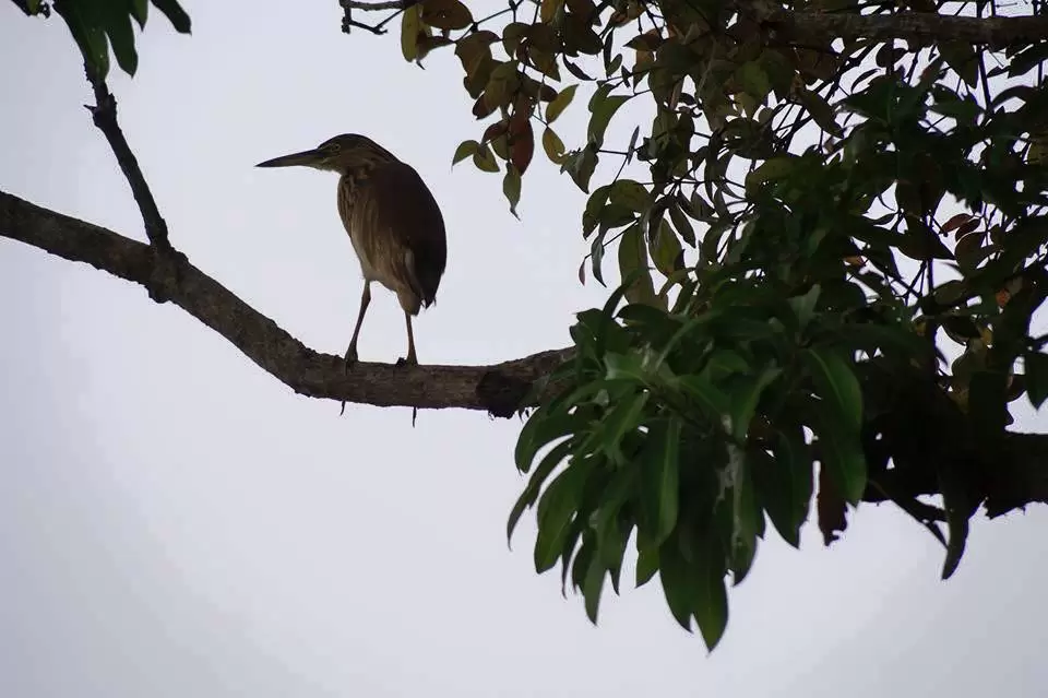 Photo of Alappuzha, Kerala, India by Sravan Yadav