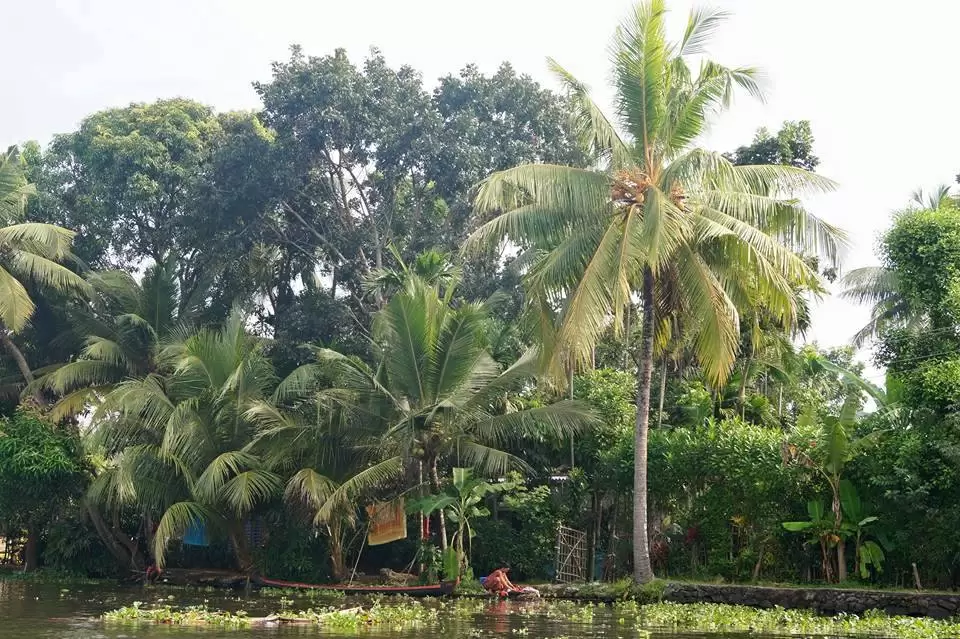 Photo of Alappuzha, Kerala, India by Sravan Yadav