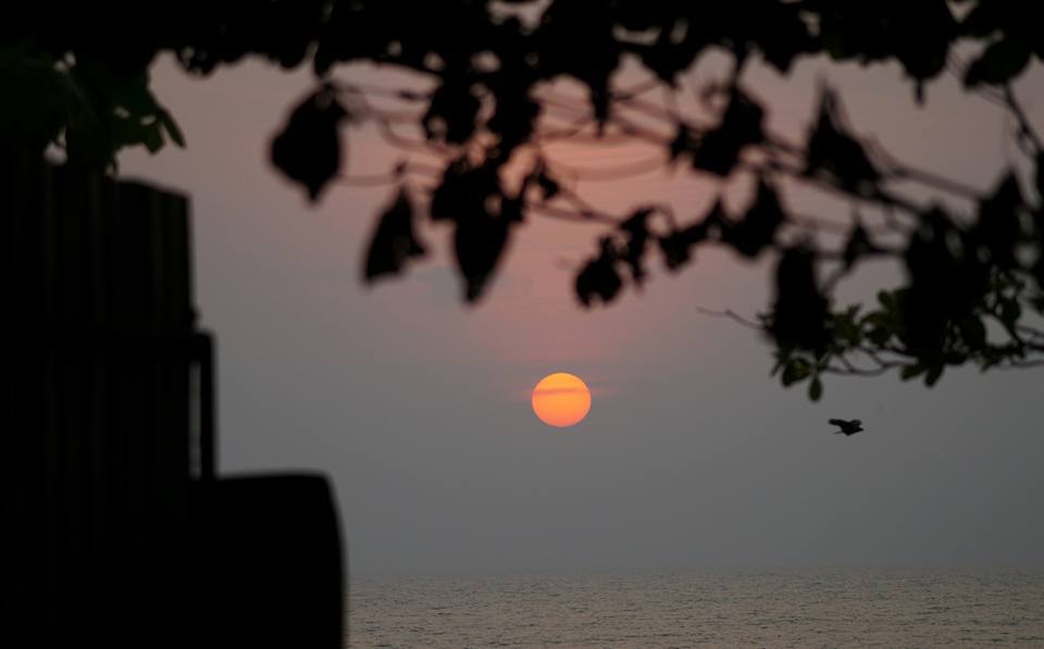 Photo of Its All about Beaches,Solo Ride through 5 States of India, 3000km (Added Vlog Link) by Sravan Yadav
