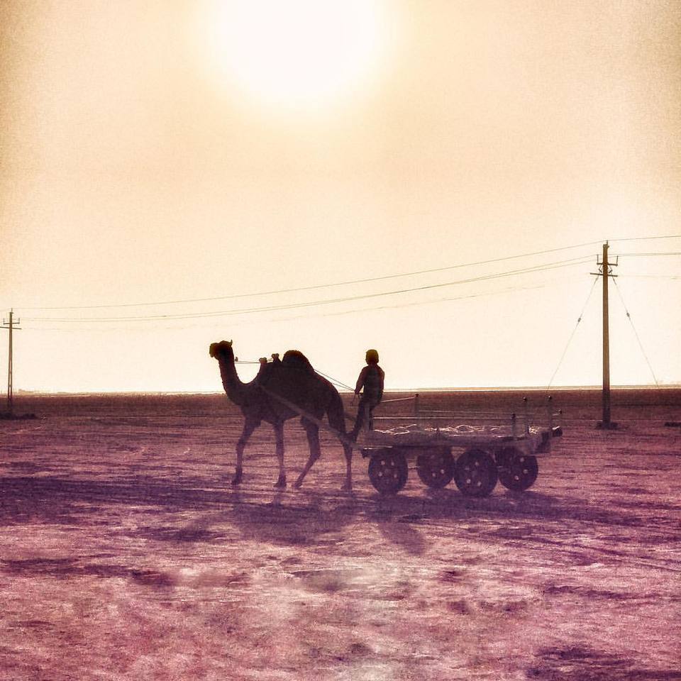 Photo of Rann Utsav - December 2016 2/3 by Anirban Gupta