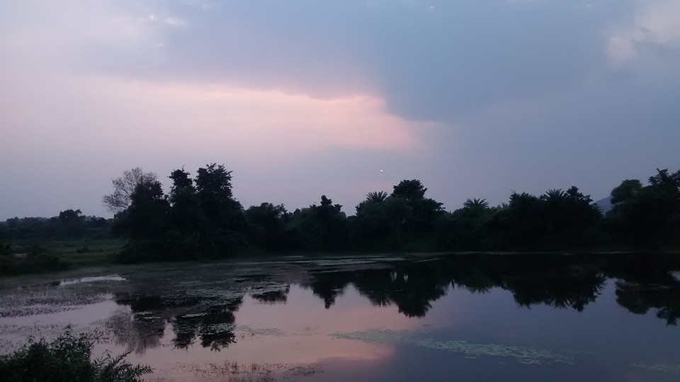 Photo of Me... My village... My mobile 2/28 by Hasinur Rahaman
