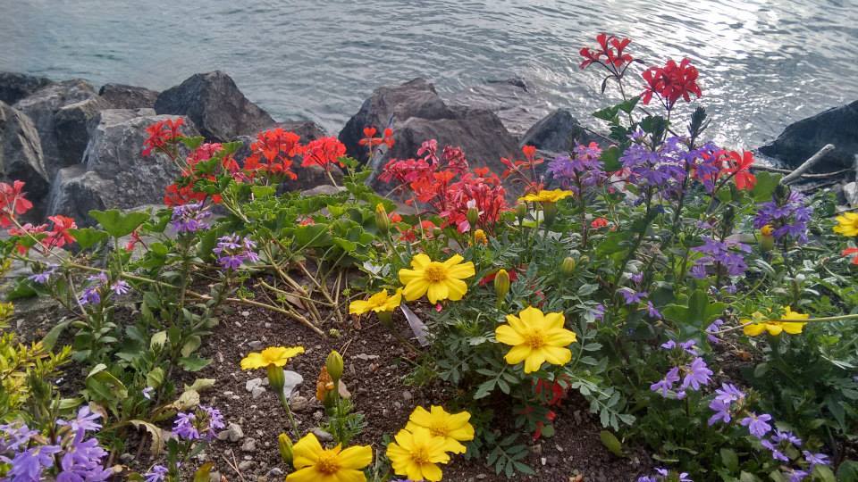 Photo of Swiss Adventures 5/20 by Khevna Pandit
