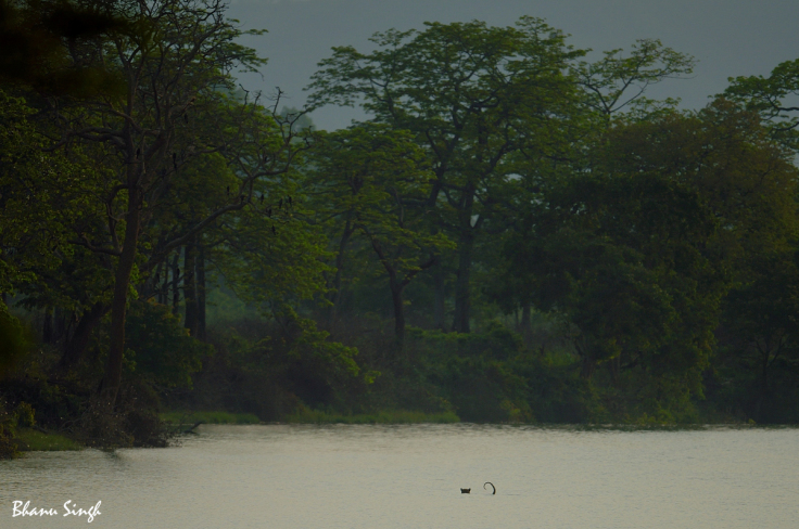 Photo of The Game of Luck by Bhanu Singh