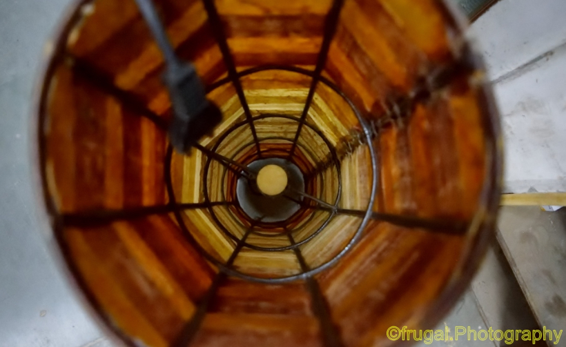 Photo of Shantanu Chandra Photography - Creative & Disruptive 4/7 by Shantanu Chandra
