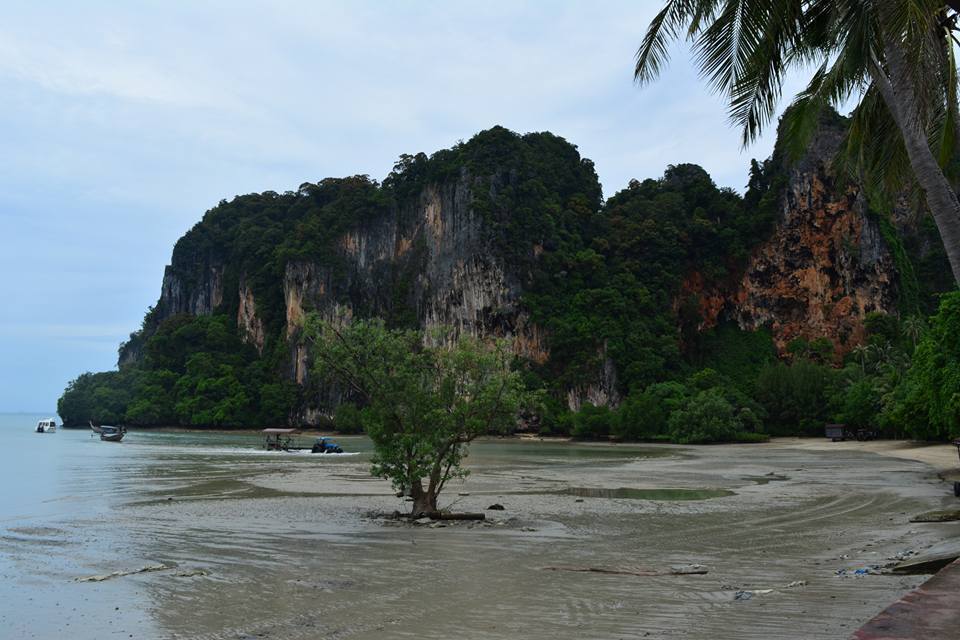 Photo of Backpacking in Thailand 9/39 by NIKHIL JAIN