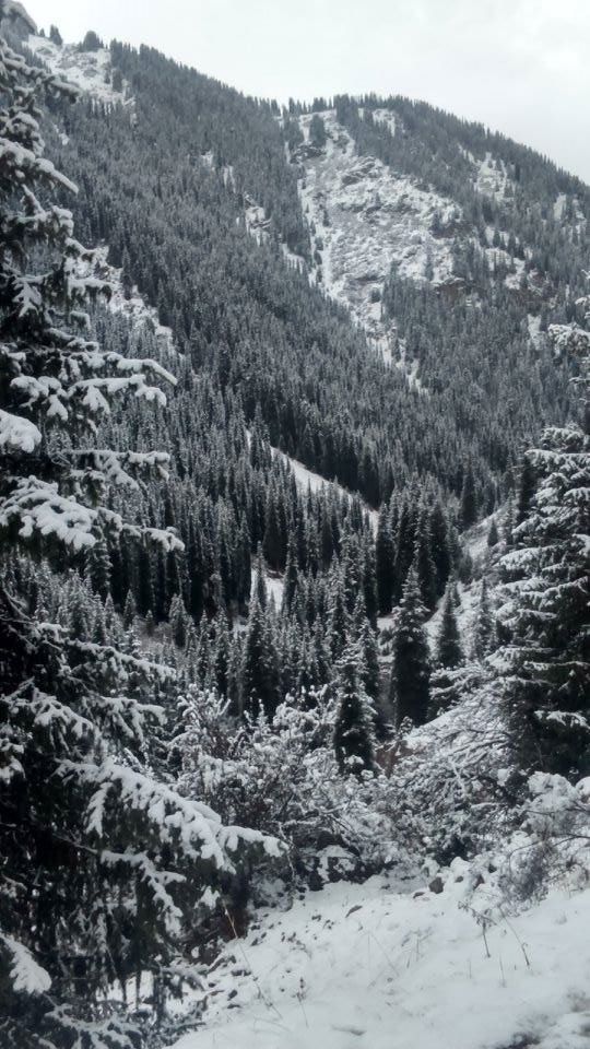 Photo of Altyn Arashan Valley by Vivek Narendran