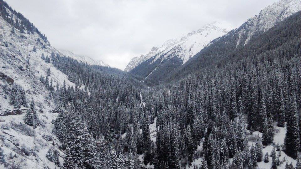 Photo of Altyn Arashan Valley by Vivek Narendran