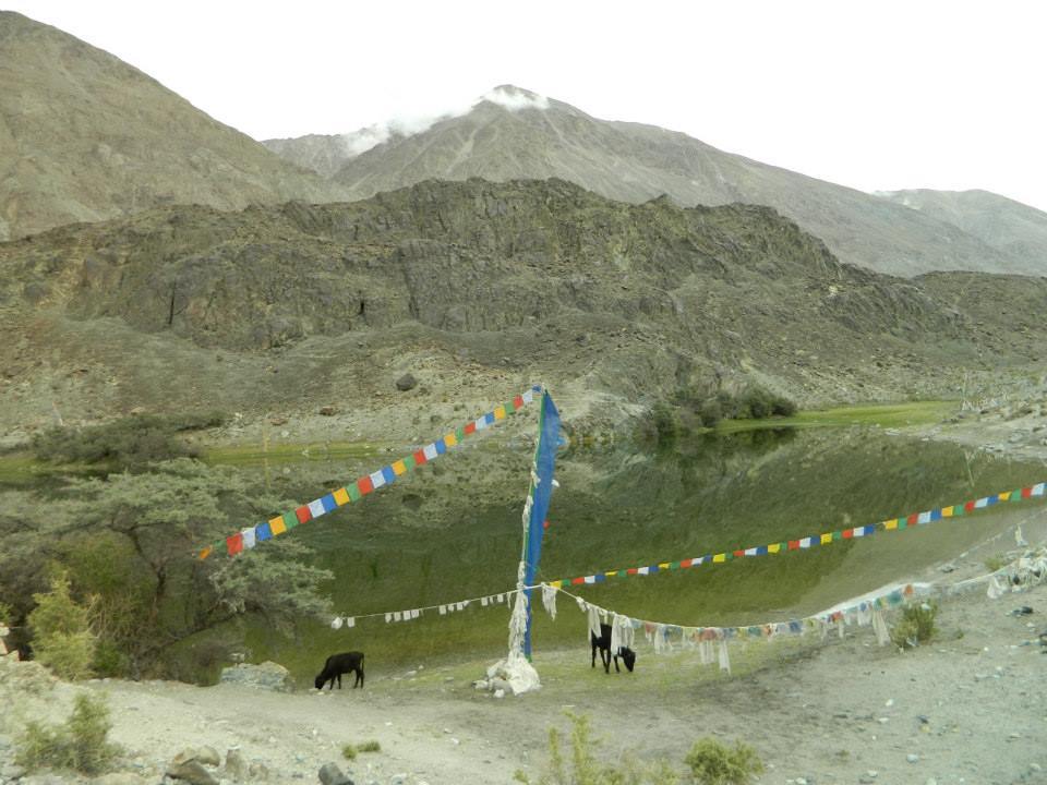 Photo of Nubra Valley (INDIA)- Heaven beyond a Heaven by SHIMOJ