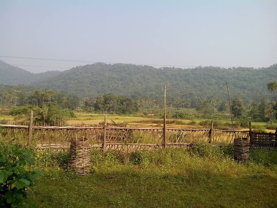 Photo of A trip to Satkoshia Tiger Reserve 6/8 by Dedipya Basak