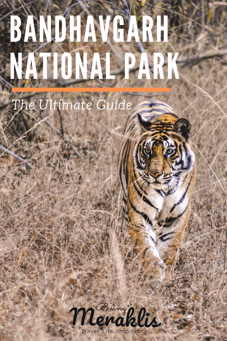 Photo of The Ultimate Guide to Bandhavgarh National Park - Why India's Densest Tiger Reserve should be on you by Being Meraklis - Shwetha Sivaraman