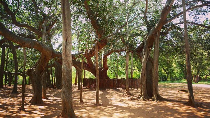 Photo of Two days In A Paradise Called Pondicherry by Shantanu Subramanian
