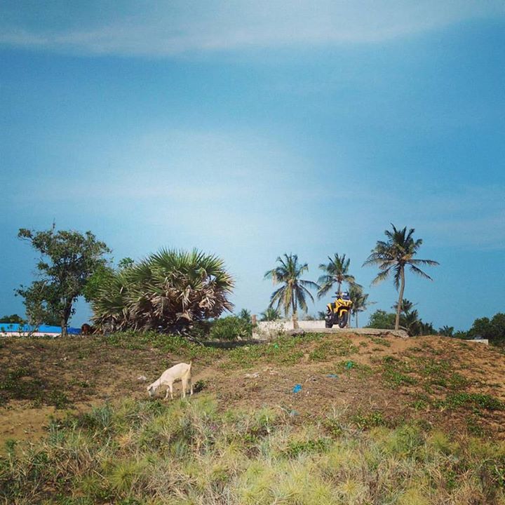 Photo of Two days In A Paradise Called Pondicherry by Shantanu Subramanian