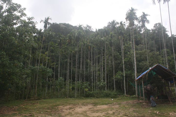 Photo of Wayanad , The Green Paradise by Shantanu Subramanian