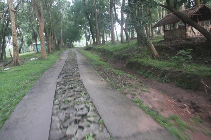 Photo of Wayanad , The Green Paradise by Shantanu Subramanian