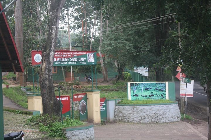 Photo of Wayanad , The Green Paradise by Shantanu Subramanian