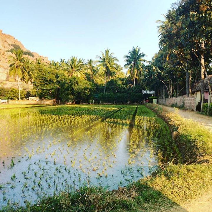 Photo of Hampi by Nitin Rawat