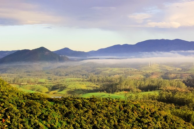 Photo of Sri Lanka Diary - A Land Like No Other 1/1 by tejaswini pagadala