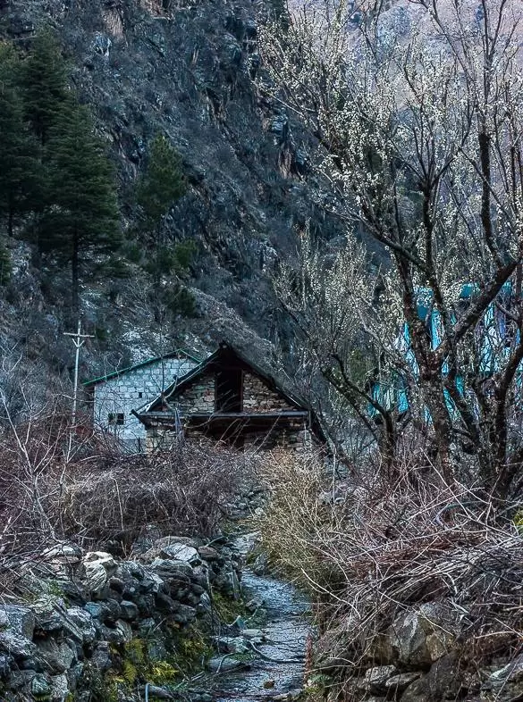 Photo of Parvati Valley by Nehal Khan